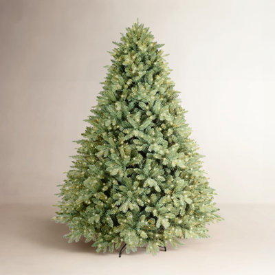 Lighted Christmas Tree