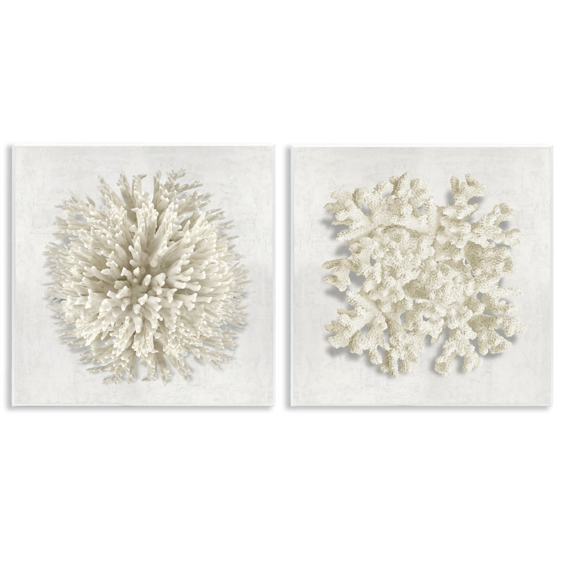 Ensemble de 2 plaques murales en corail naturel distinct, design par Caroline Kelly