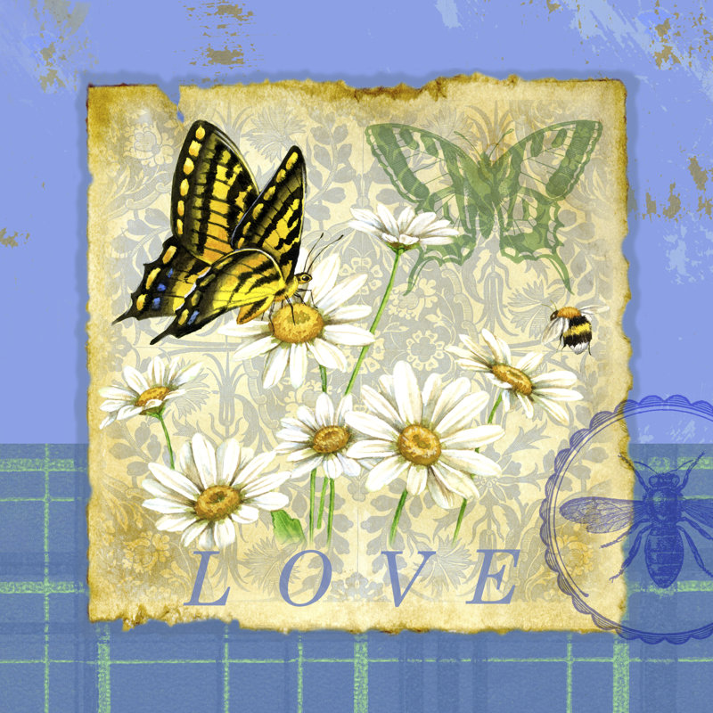 Papillon Plaid I - Wrapped Canvas Print, 51cm H x 51cm W x 3.8cm D