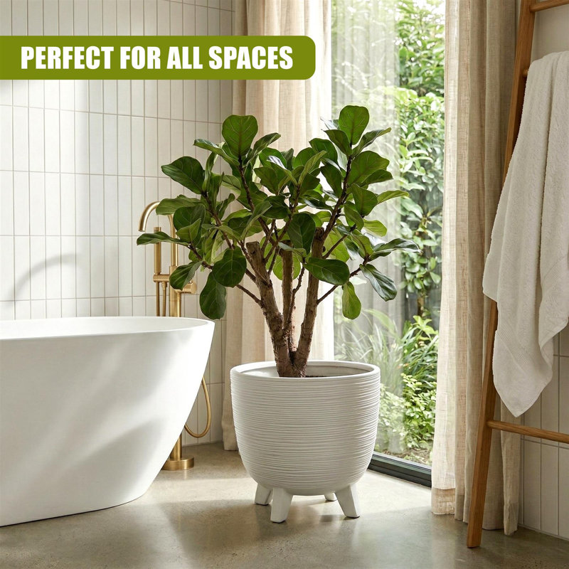 Pot Planter, 32cm H x 39.5cm W x 39.5cm D, White