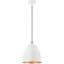 Luminaire suspendu en dome à 1 lumière
