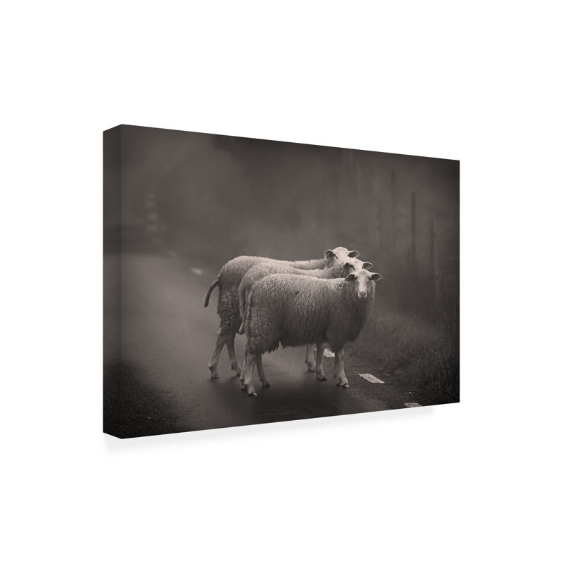 Art sur toile «Boland Allan Wallberg», H 12 po x l 19 po