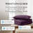 Vilano Springs ® Oversized, Light-Weight Hotel Quality Quilt Set with Matching Shams-1001114985-1001114979