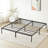 Tesfai 14'' Steel Platform Bed-867532885-823876195
