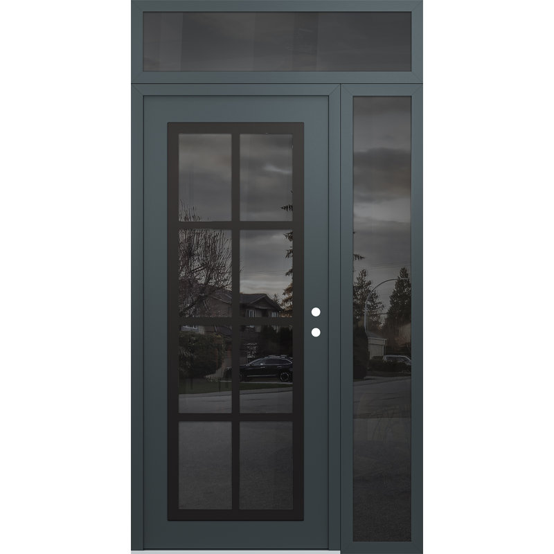 C16 52 po gauche X 96 po Panneau de porte en verre noir anthracite et anthracite à panneau, L 53,25 po x H 95,69 po, Gauche
