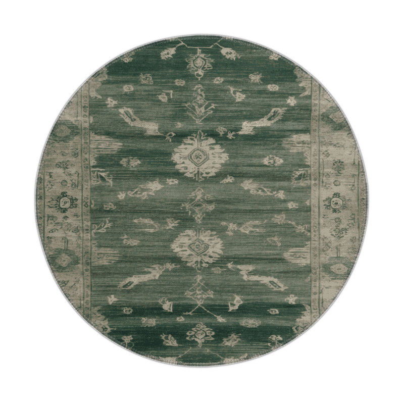 Overdyed Brown Indoor and Outdoor Area Rug, Rectangle 3' x 5'