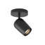 Koto 1 - Light Spotlight-317747340-317747329-276409708