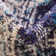 Wyncote Abstract Indoor Rug