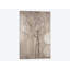 «Champagne Blossoms», reproduction sur toile-30009934-72420950-72420957