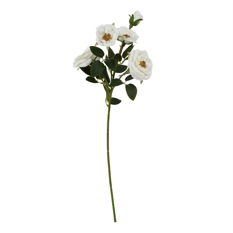Arrangement