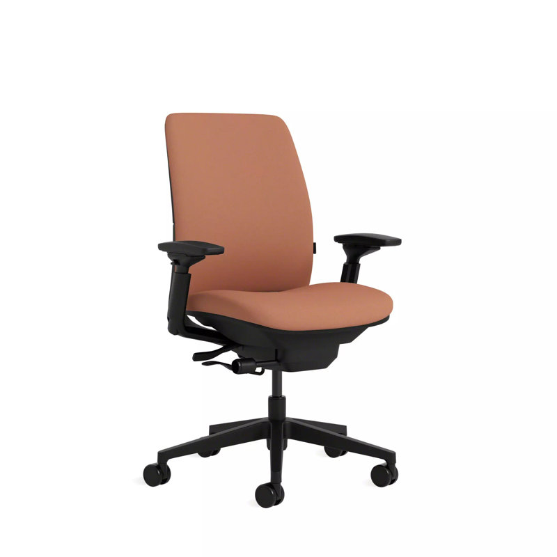 Steelcase Amia Ergonomic Task Chair, Carpet, Black, Persimmon