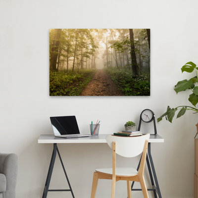 Arbre, brouillard, forêt, sentier forestier, paysage, photographie de la nature, forêt, arbre, brume, art contemporain