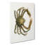Spider Crab by J.E. De Kay - Wrapped Canvas Painting-55318781
