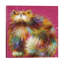 « knickerbocker » par kim haskins-impression sur image-49774788-49774780