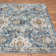 Merredith Performance Oriental Indoor Rug