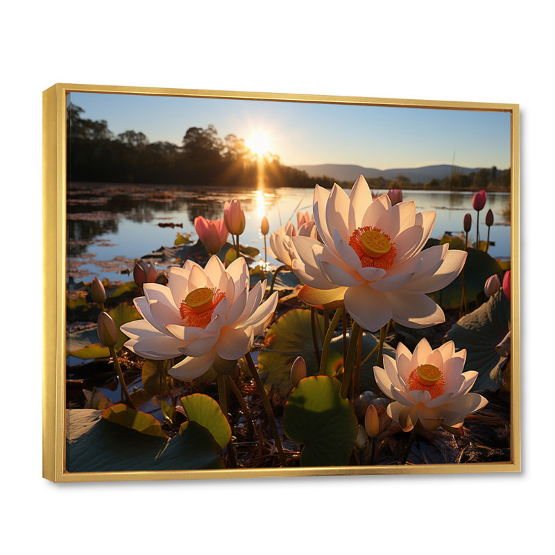 Champ de lotus blanc et jaune avec coucher de soleil, reproduction sur toile, H 12 po x l 20 po x P 1 po, Cadre flottant doré