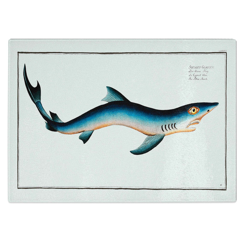 Tempered Glass Shark Chopping Board, 28.5 cm W x 20 cm L