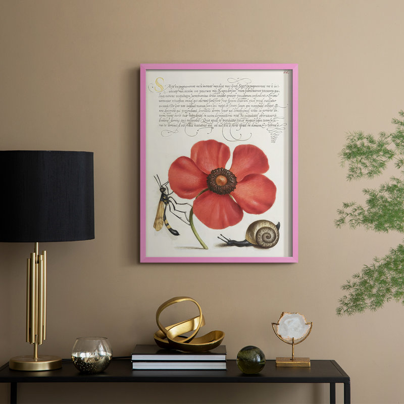 Reproduction encadrée Hoefnagel Tropical, H 15 po x l 12 po, Rose