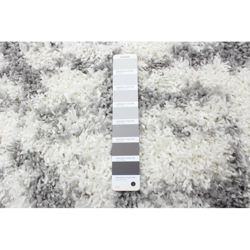 Tapis à poils longs blanc / gris, Rectangle 3 pi 11 po x 5 pi 11 po