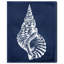 Navega Shell - Impression sur toile-22864841