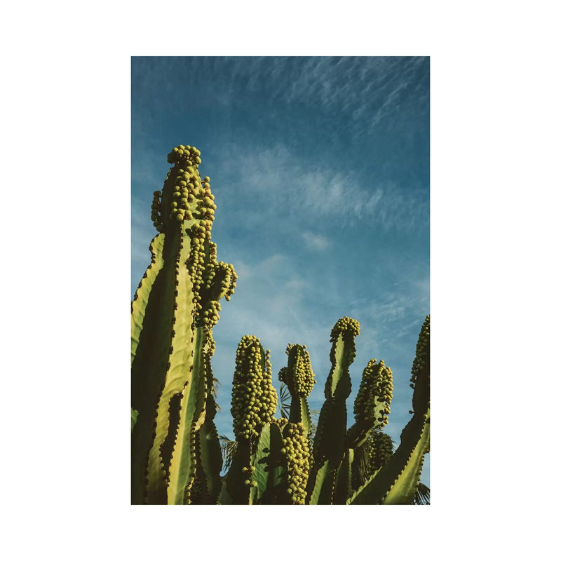 Reach For The Sky by Bethany Young - Print on Canvas, Wrapped Canvas, 66.04cm H x 45.72cm W x 1.91cm D