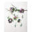 Eucalyptus Arrangement