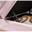 Chaise longue moderne en velours rose avec espace de rangement supplémentaire - revêtement doux, rangement spacieux, pieds en métal doré, assemblage simple requis, siège confortable dissimulé, compartiment secret-1661642705