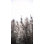 Bear Lake Foliage I Print by Chris Dunker