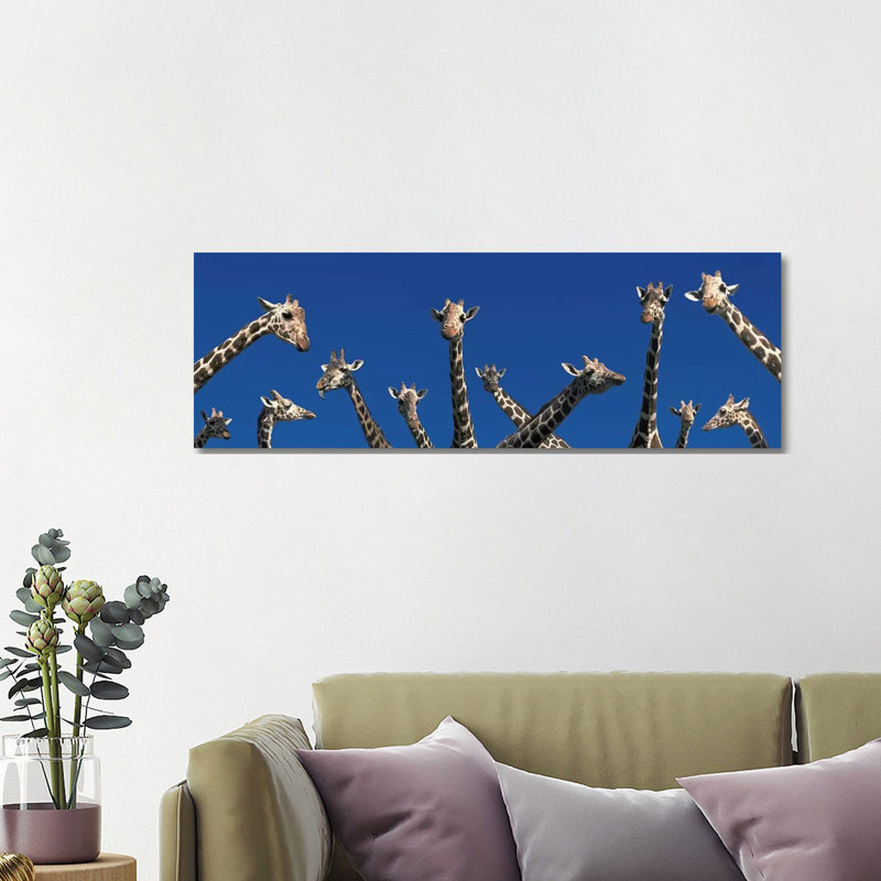 Curious Giraffes (Concept) Kenya Africa - Wrapped Canvas Panoramic Print, 121.92 cm H x 40.64 cm W x 1.91 cm D