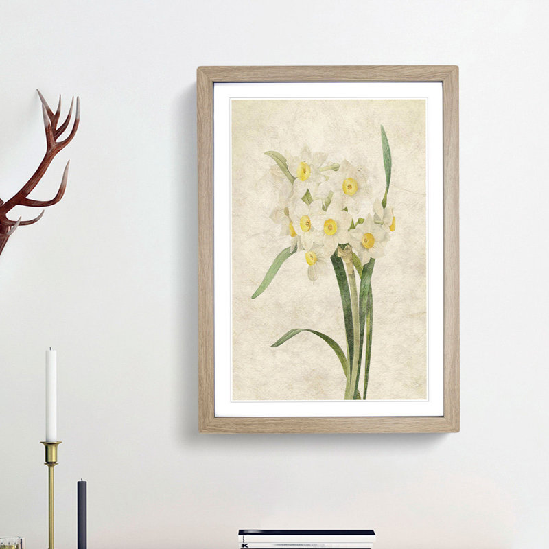 White Daffodils by Pierre-Joseph Redoute - Picture Frame Art Prints, 48cm H x 36cm W x 2cm D, Oak Framed