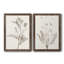 «Neutral Botanical Study VIIP», reproduction d'art encadrée - prête à être accrochée-558944174-559107755-559107760