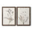 «Neutral Botanical Study VIIP», reproduction d'art encadrée - prête à être accrochée-559107755-559107760-558944171