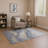 Premium Machine Washable Jakiyra AMF1892 Swirls Rug-1798612043