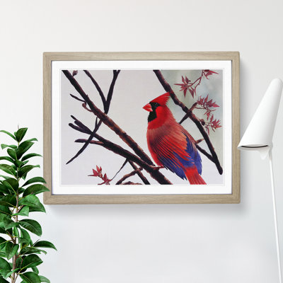 Watercolour Cardinal Bird Vol.4 - Single Picture Frame Print