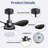 24'' Small Ceiling Fan With Light Remote Control, Modern 6-Speed Reversible DC Motor-691529979