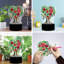 Lampe de peinture Dreden