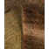 Huckstep One-of-a-Kind 9' 1" X 11' 4" Wool Area Rug Green