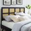 Tête de lit Luana Cane Mid-Century Modern par Modway-536884221-536884222