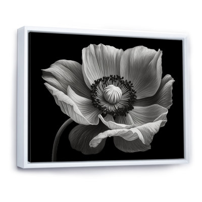 Coquelicots noirs et blancs sur toile