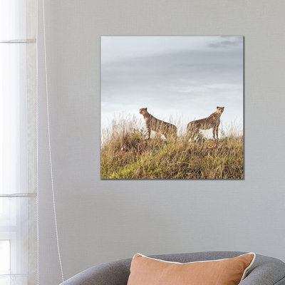 Colour Cheetah Duo 1 Piece Wrapped Canvas Wall Art