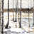 Winter swamp - 32"x32" art on canvas