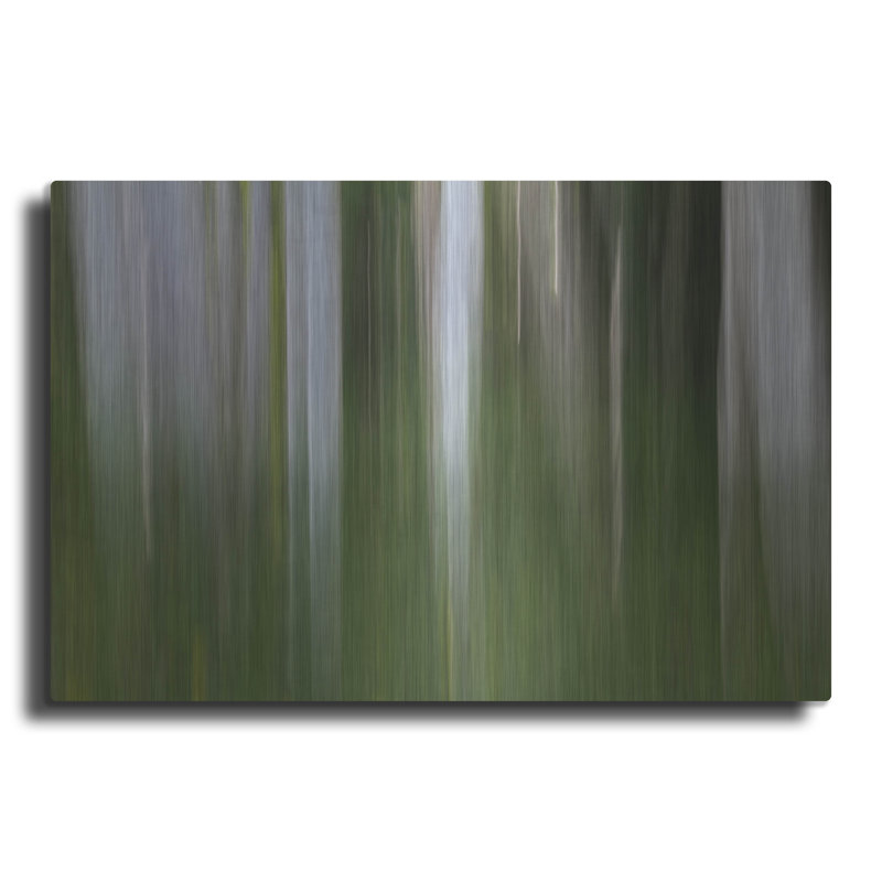 Ivy Bronx «Aspen Forest In The Spring V1» par Bill Sherrell, art mural en métal