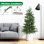 Plant-798864595