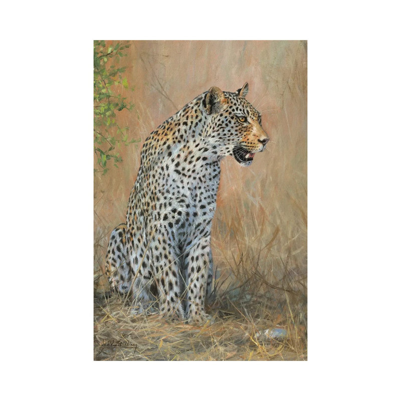 Leopard Male Sitting by David Stribbling - Print on Canvas, Wrapped Canvas, 66.04 cm H x 45.72 cm W x 1.91 cm D