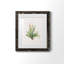 Gardenaire I - Peinture encadrée-291723559-291723580