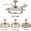 Felecia 42'' Ceiling Fan with LED Lights