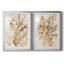 Parchment Coral III, reproduction encadrée de qualité supérieure - prête à être accrochée-377550018-377550019