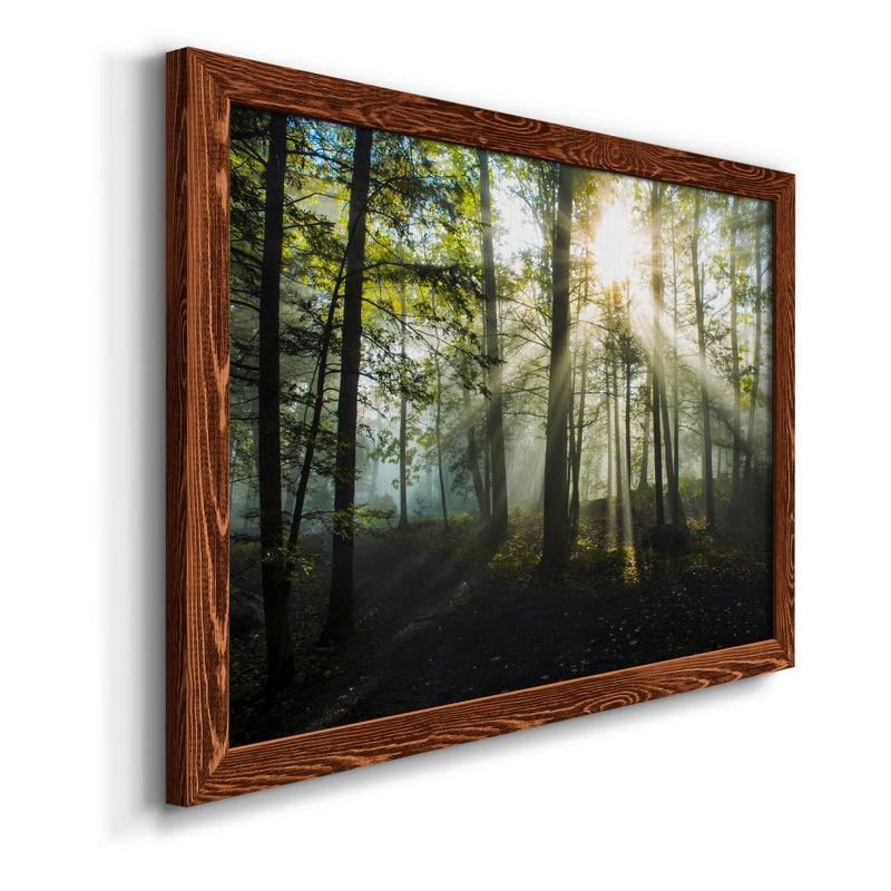 Lumière et arbres - Toile encadrée de qualité supérieure - prête à être accrochée, H 24 po x l 18 po x P 1,5 po, Érable