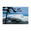«Wickanninish» par Etelca, impression sur toile tendue-27649622
