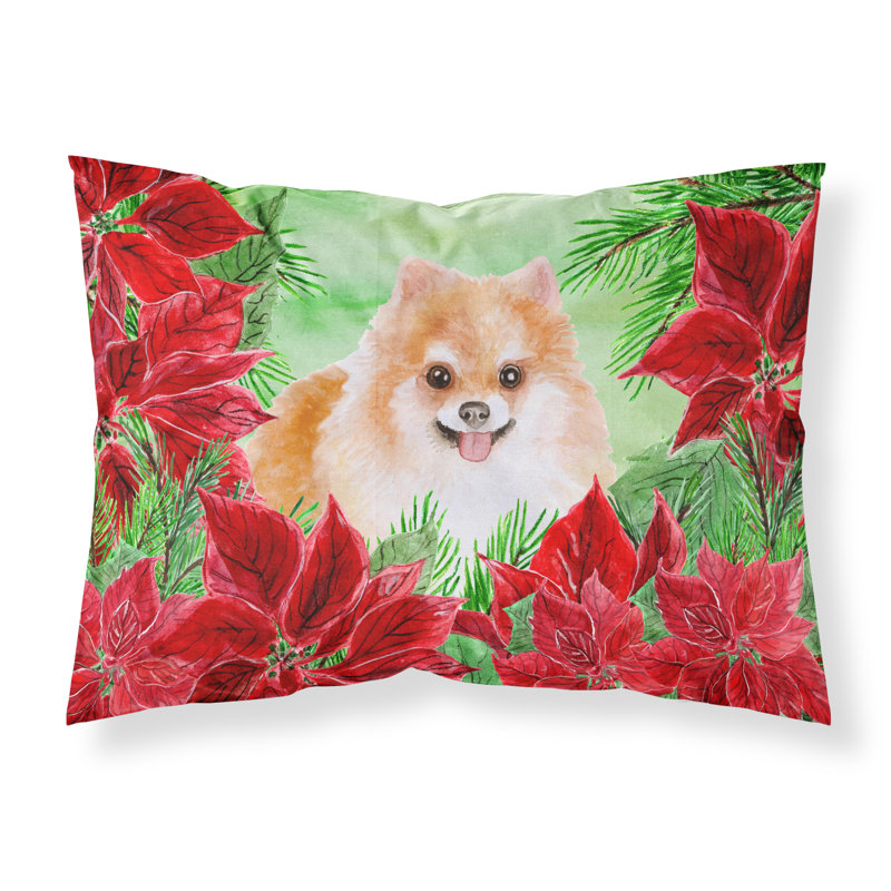 Microfiber, Pomeranian #2